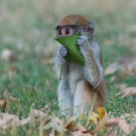 Le Manoir De Beaumarchais Alojamento de Acomodação e Pequeno-almoço 3*